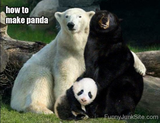 How To Make Panda