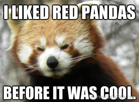 I Like Red Panda