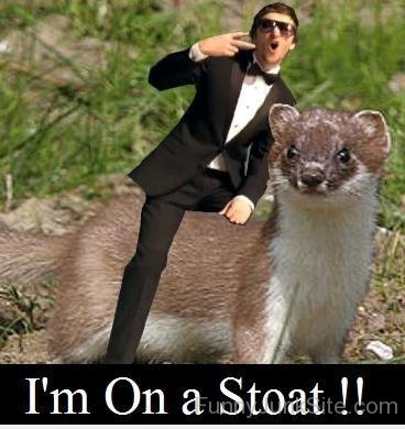Im On A Stoat