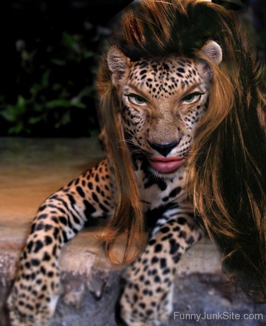Jaguar Girl