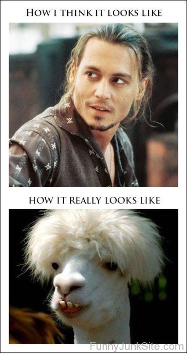 Johnny Depp And Llama Hairstyle
