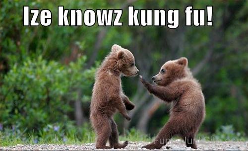 Kung Fu Fun