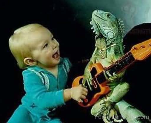 Lizard Playing Guitar Funny