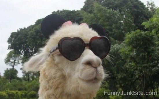 Llama Funny Goggles