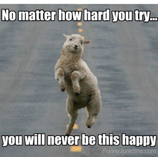 No Matter How Hard You Try