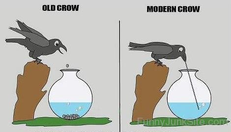 Old And Modern Crow Funny