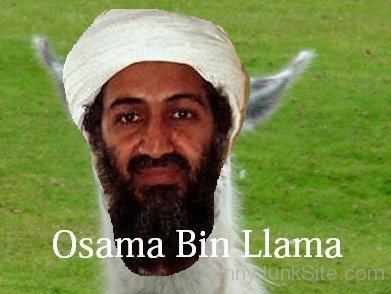 Osama Bin Llama