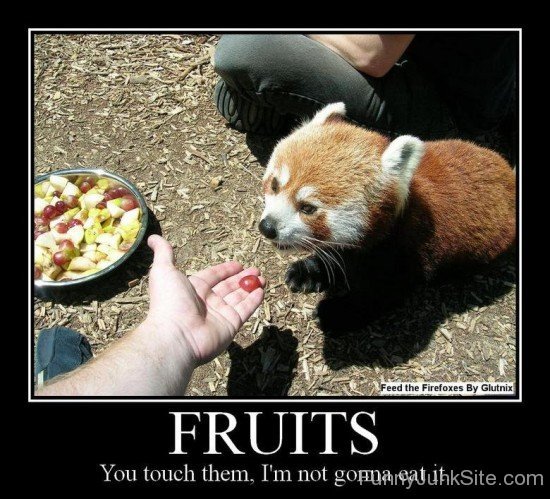 Panda Fruit Fun