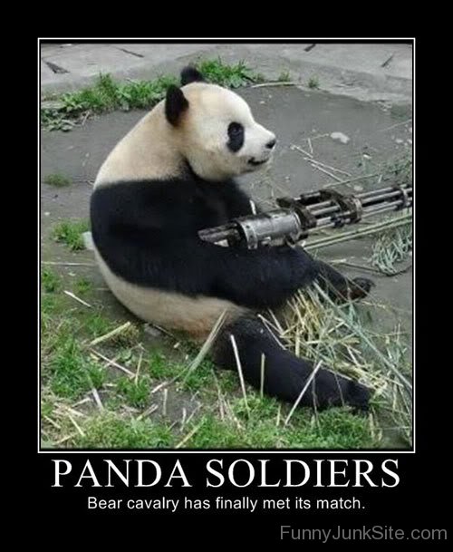 Panda Soldier