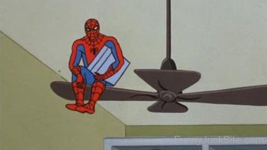 Spiderman On Fan