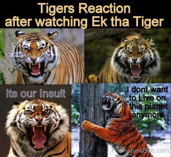 Tiger Reaction