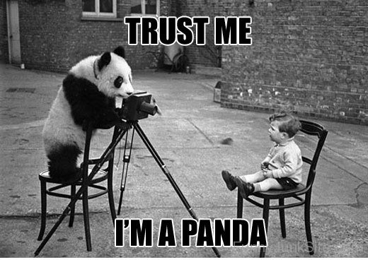 Trust Me I Am Panda