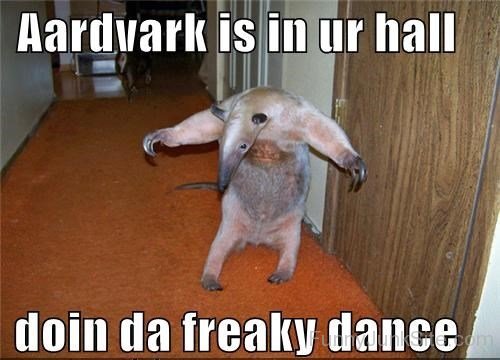 Aardvark Is In Your Hall
