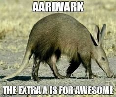 Aardvark The Extra A Is For Awesome