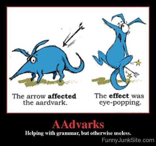 Aardvarks Helping With Grammar