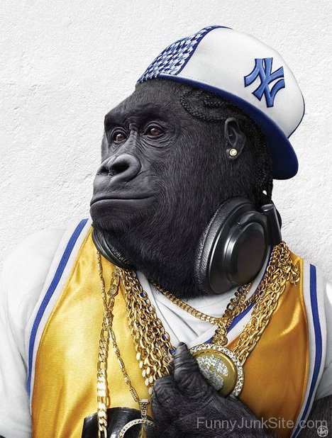 Ape In Funky Style