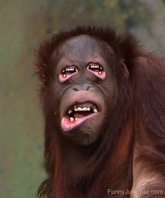 Ape With Many Teeths