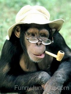 Ape With Smoke Pipe