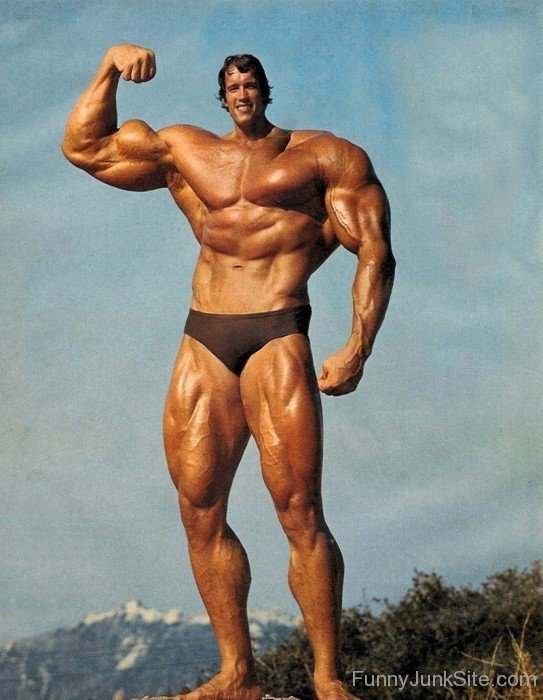 Arnold Small Face With Muscular Body