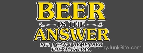 Beer Is The Answer