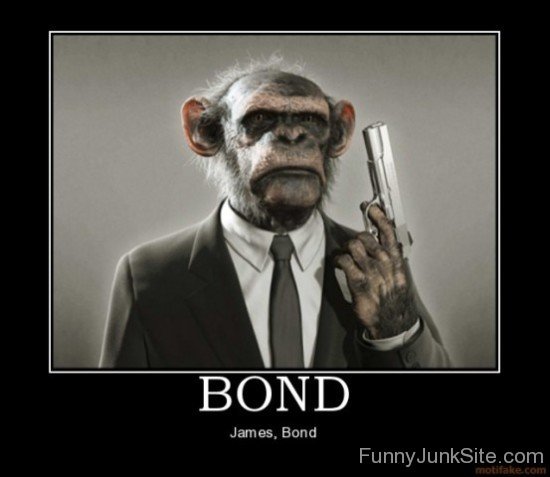 Bomd James Bond