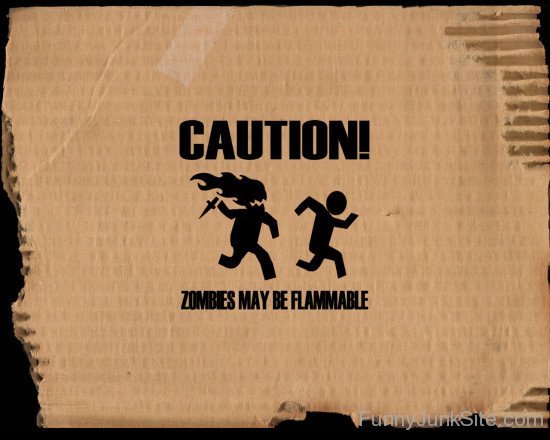 Caution Zombies May Be Flammable