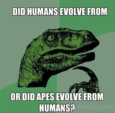 Did Apes Evolve From Humans