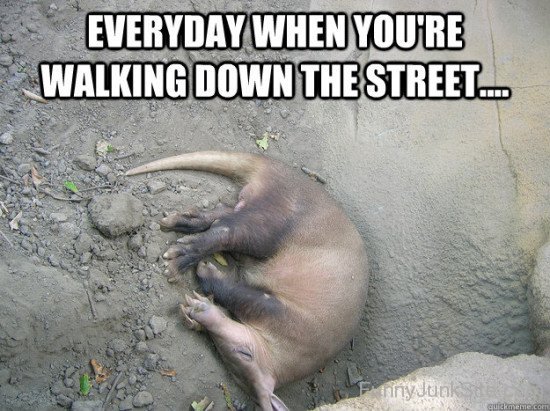 Everyday When You're Walking Down The Street