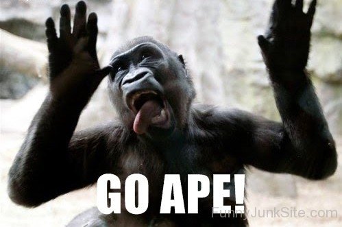 Go Ape