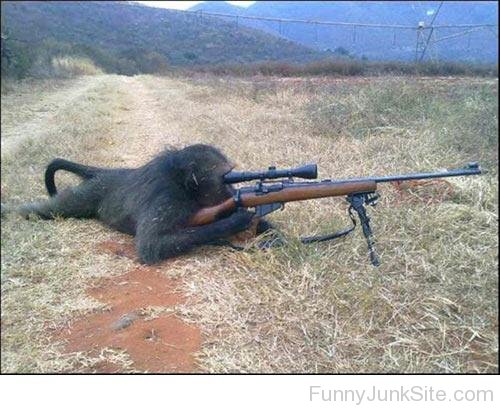 Soilder Ape With Gun