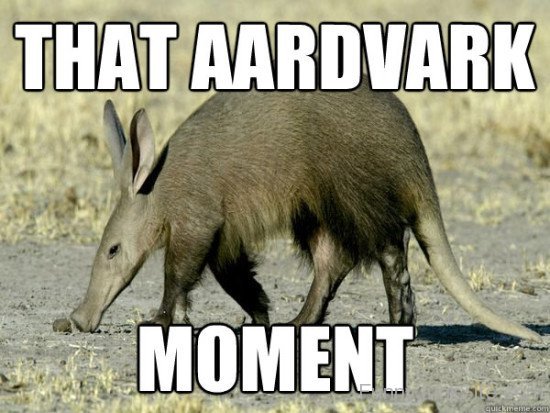 That Aardvark Moment