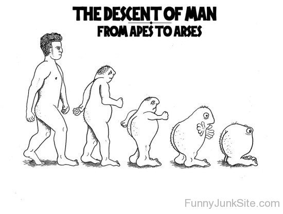 The Descent Of Man From Apes To Aress