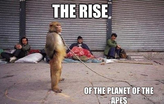 The Rise Of The Planet Of The Apes