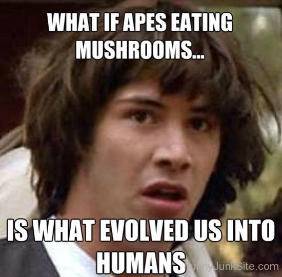 What If Apes Eating Mushrooms