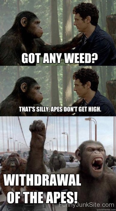 Withdrawal Of The Apes