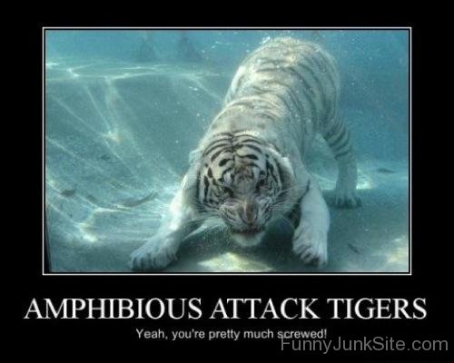 Amphibious Attack Tigers-juy6007