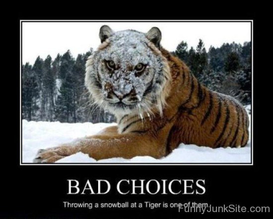 Bad Choices-juy6016