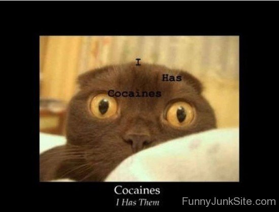 Cocaines I Has Them-hjuy6010