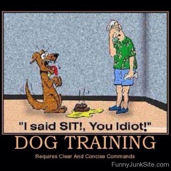 Dog Training-fvt408