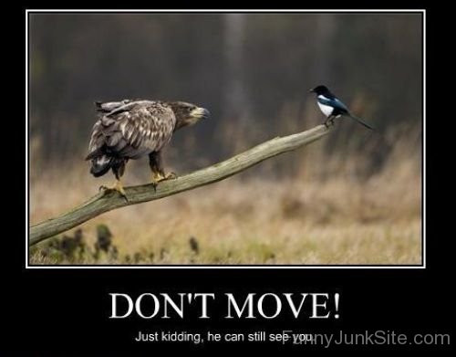 Don't Move-juy6048