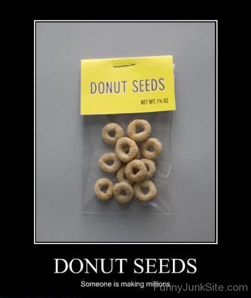 Donut Seeds-juy6049