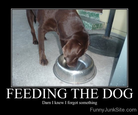 Feeding The Dog-hjuy6020