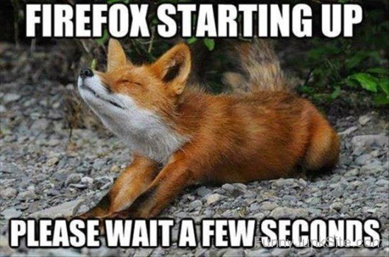 Firefox Starting Up-hjuy6021