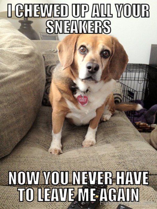 I Chewed Up All Yours Sneakers-hjuy6033