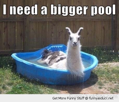 I Need A Bigger Pool-fgi714