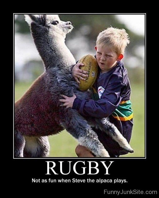 Rugby Not As Fun-fgi720