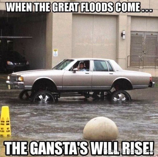 Gangsta's Will Rise-wm414