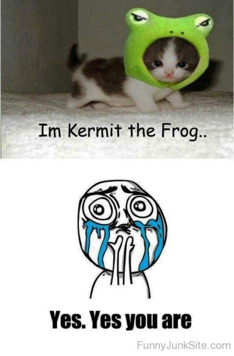 I'm Kermit The Frog-mu412