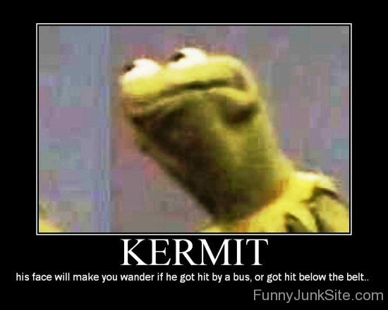 Kermit His Face Will Make You Wander-mu417