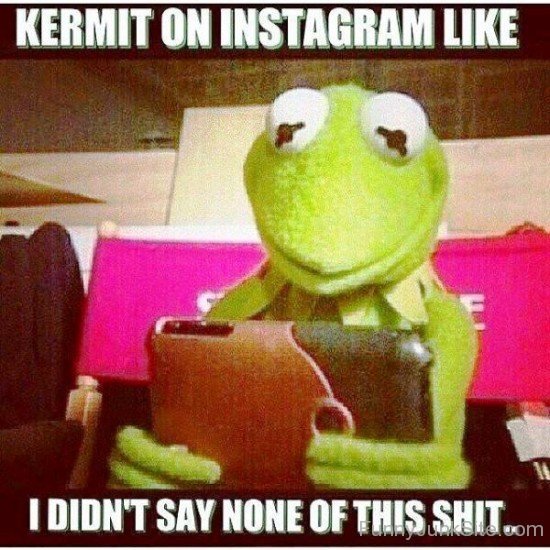 Kermit On Instagram Like-mu419